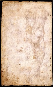 Study of a Male Nude